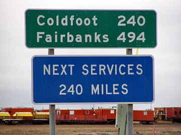 Caribou am Dalton Highway