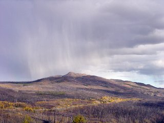 Bild [320 x 240 Pixel @ 14 KB]