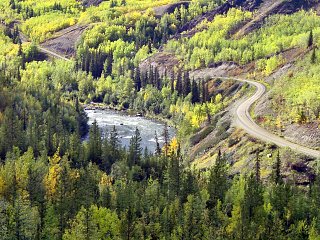 Bild [320 x 187 Pixel @ 26 KB]